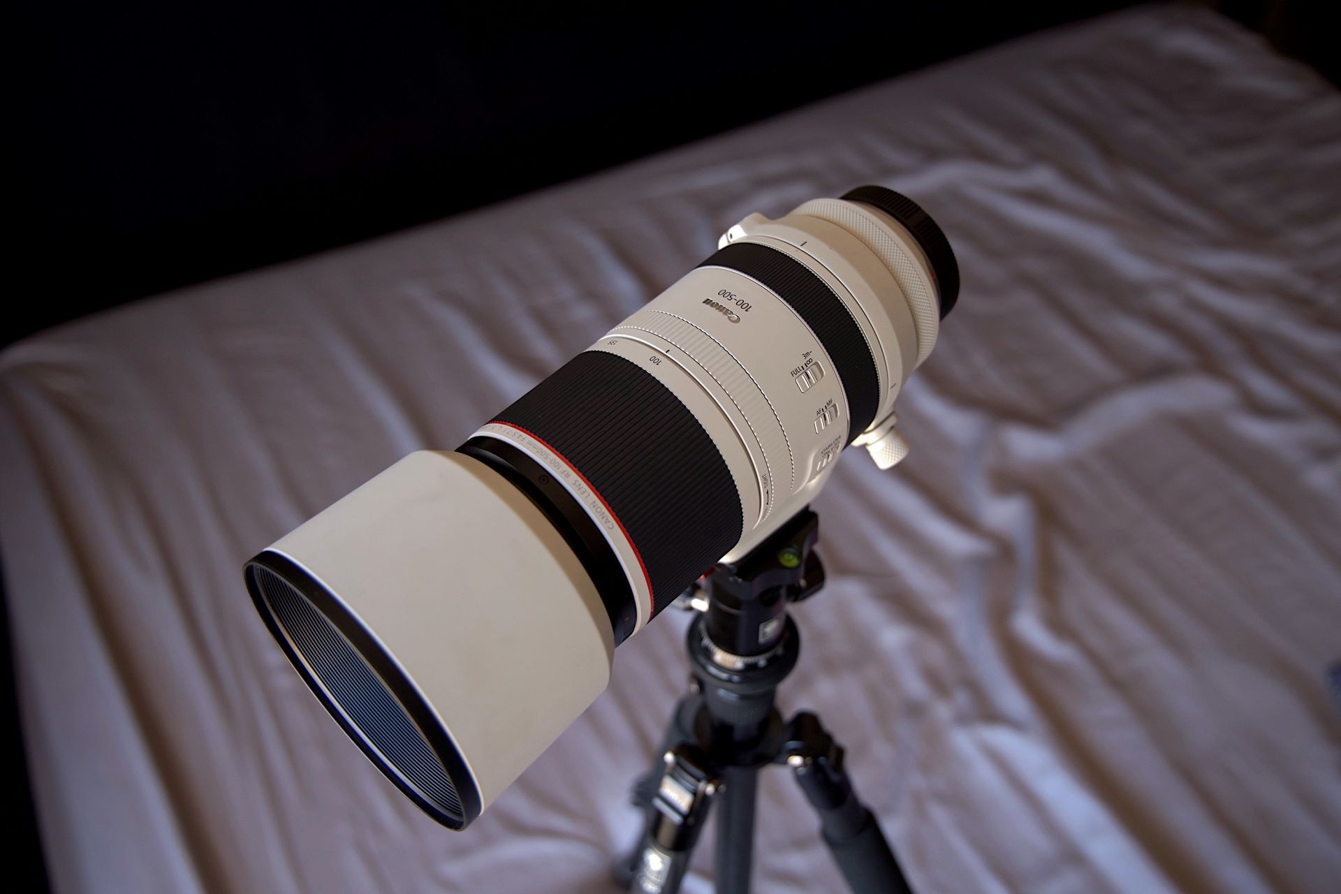 Canon RF 100-500mm f/4.5-7.1 L IS USM