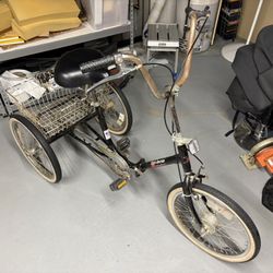 Adult Tricycle 1 Speed