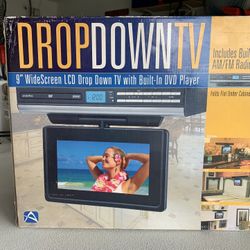 Audiovox 9” Widescreen Drop-down TV  With DVD Player
