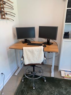Flexispot Electric Standing Desk