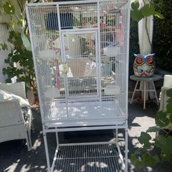 Bird Cage