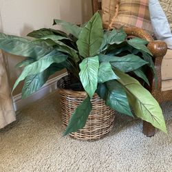 Artificial Plant