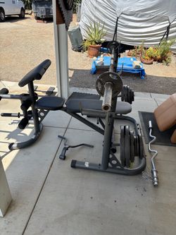 Olympic weight set . Squat bar, bench press and leg curl also separate curl bar