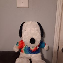 Snoopy Knott's With Tye Dye Sweater