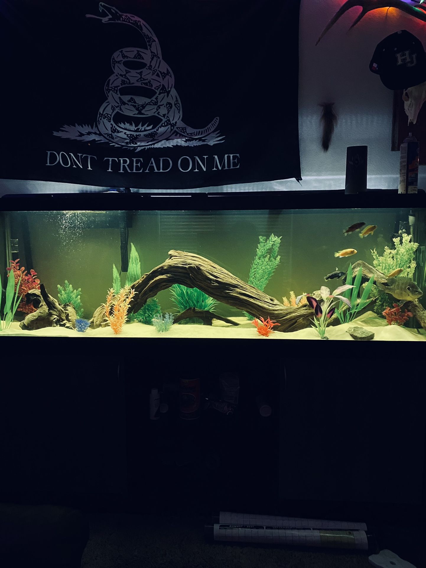 125 Gallon Fish Tank