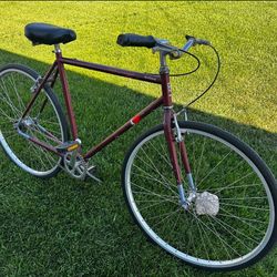 Brilliant Hybrid Bike Bicycle Road Cruiser Beach Fixie Fixed Gear