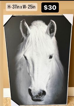 Horse Canvas Painting 