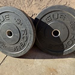 Rogue 25 Lbs Weights Plates 