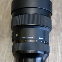 Sigma 14-24 F2.8 Sony
