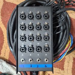 Livewire Advantage 16x4 Snake 