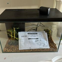 Top Fin Brand New 3.7 Gallon Glass Fish Tank With Pump Filter