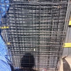 Big  Dog Cage Size 42