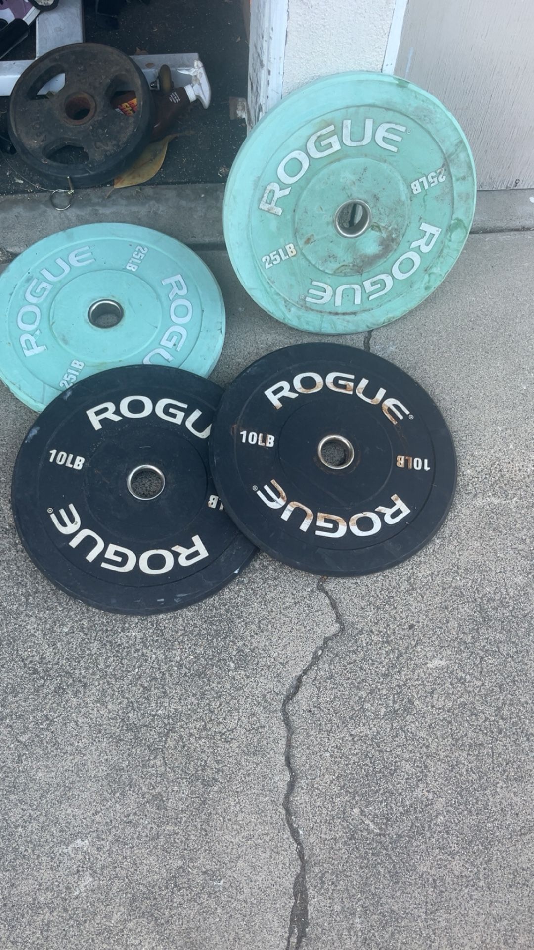 Rogue Bumper Plates Olympic Weights