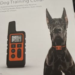 Dog Training Collar 