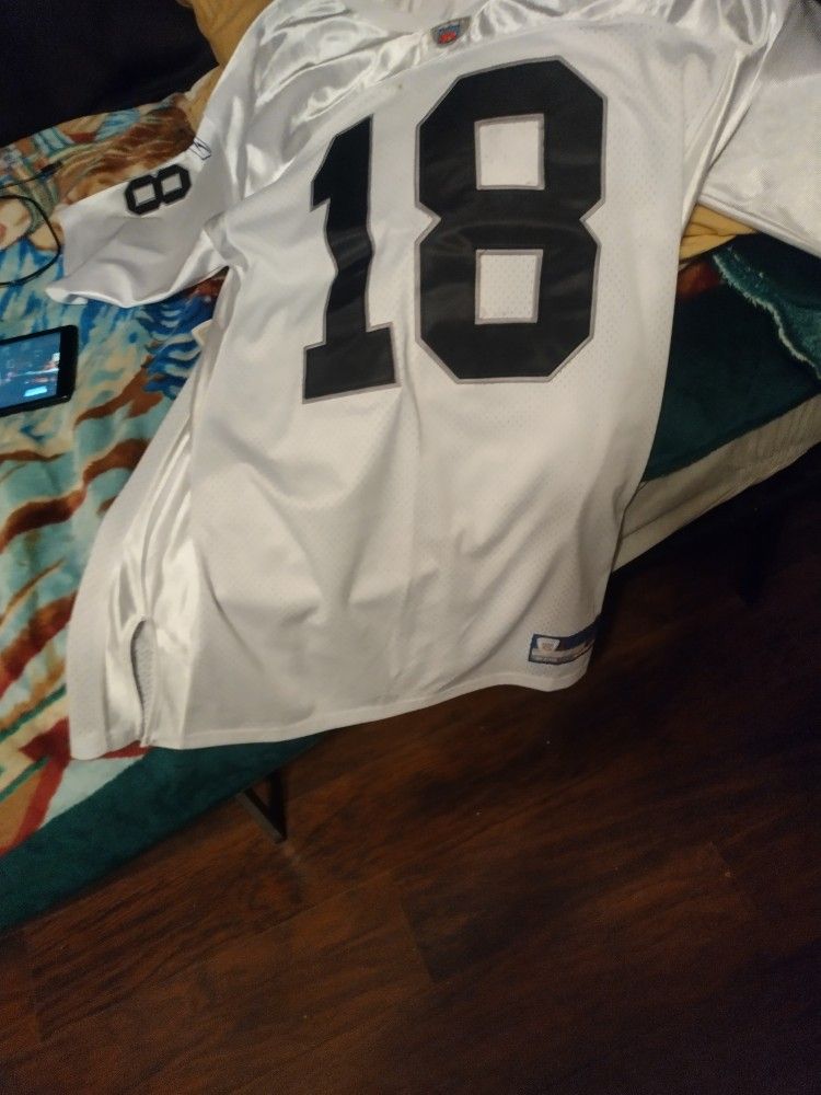 Raider Jersey