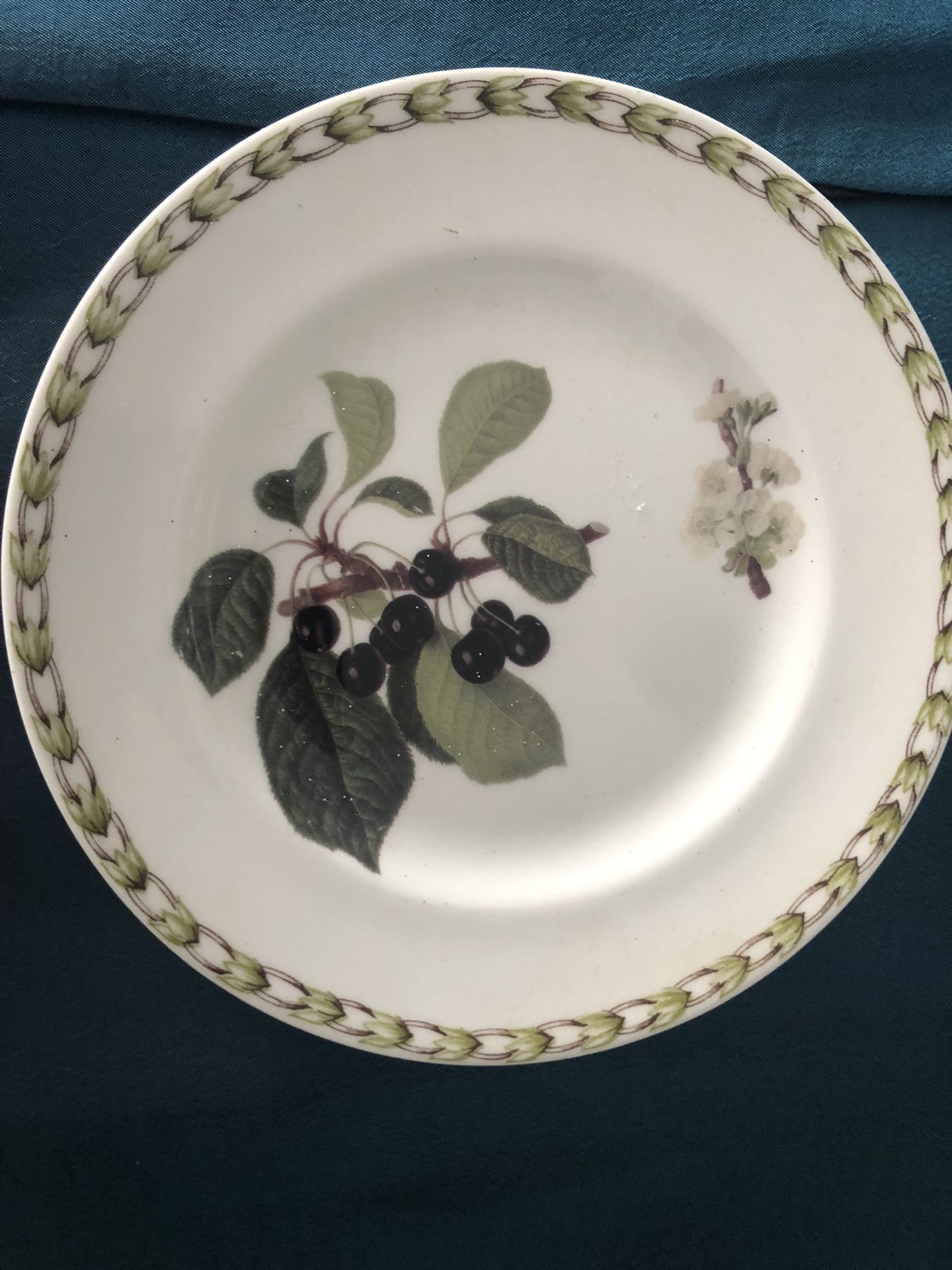 Fine Bone China Collectible 