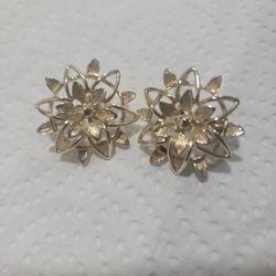Earrings  Sara Cov