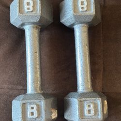 8 Lb Weights