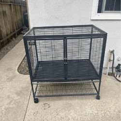 Pet Cages in Multiple Forms to Match All Pet Types street him