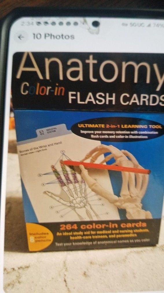 Anatomy Color Flash Cards