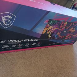 Curved MSI Gaming Monitor 