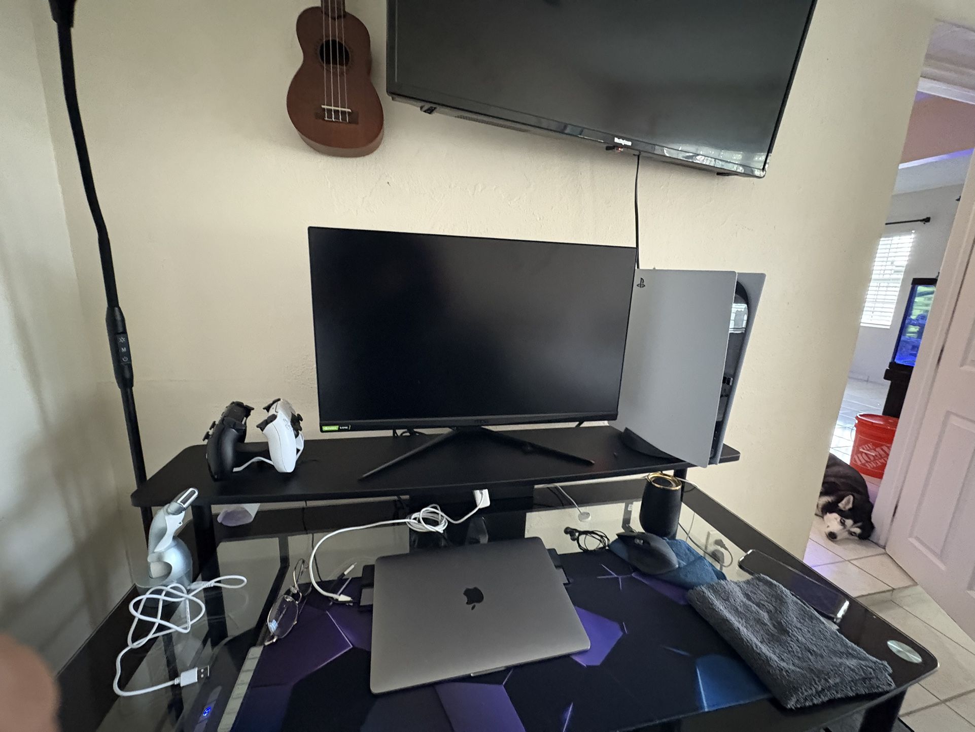 MSI GAMING MONITOR