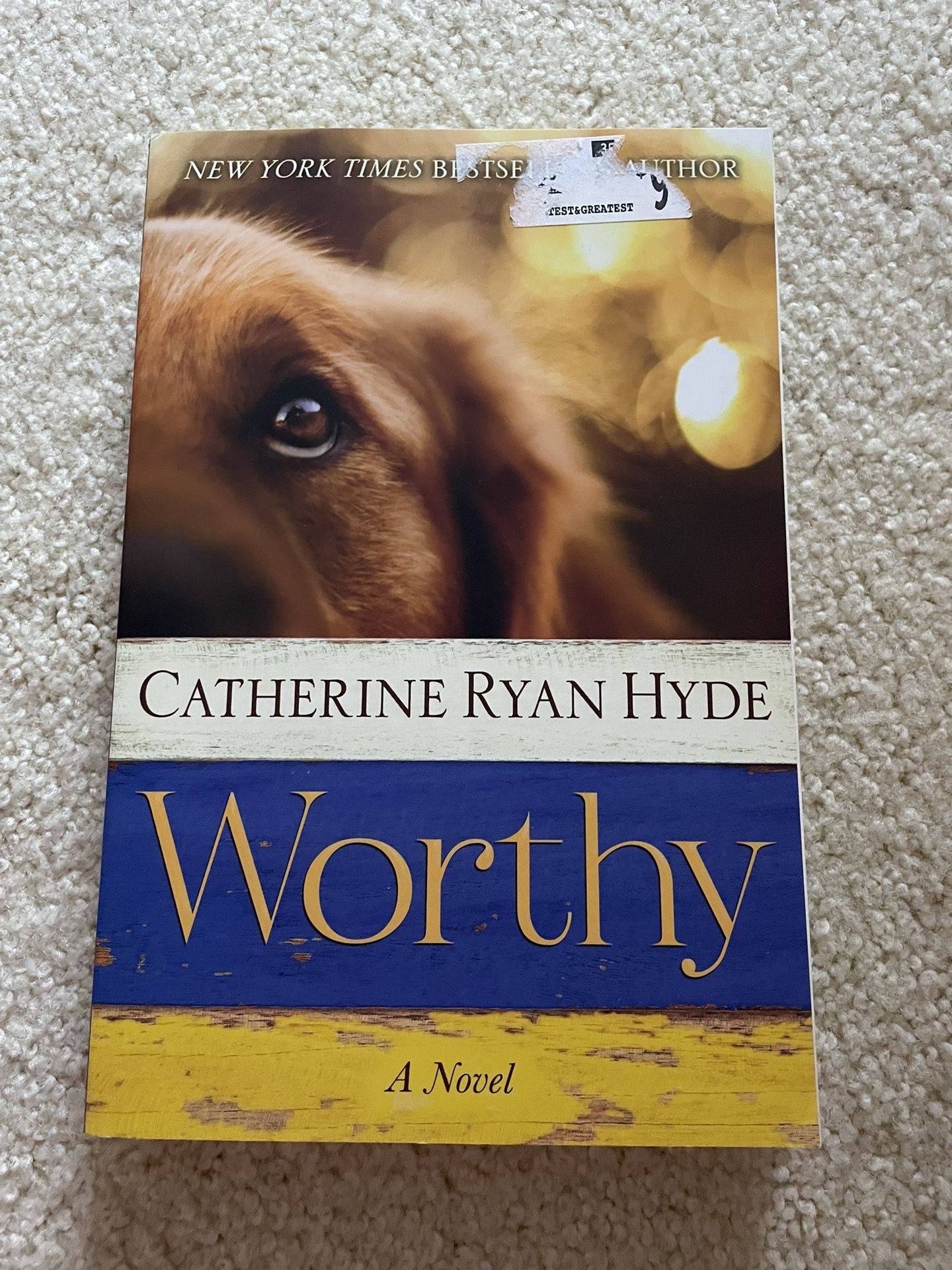 Worthy by Catherine Ryan Hyde Paperback