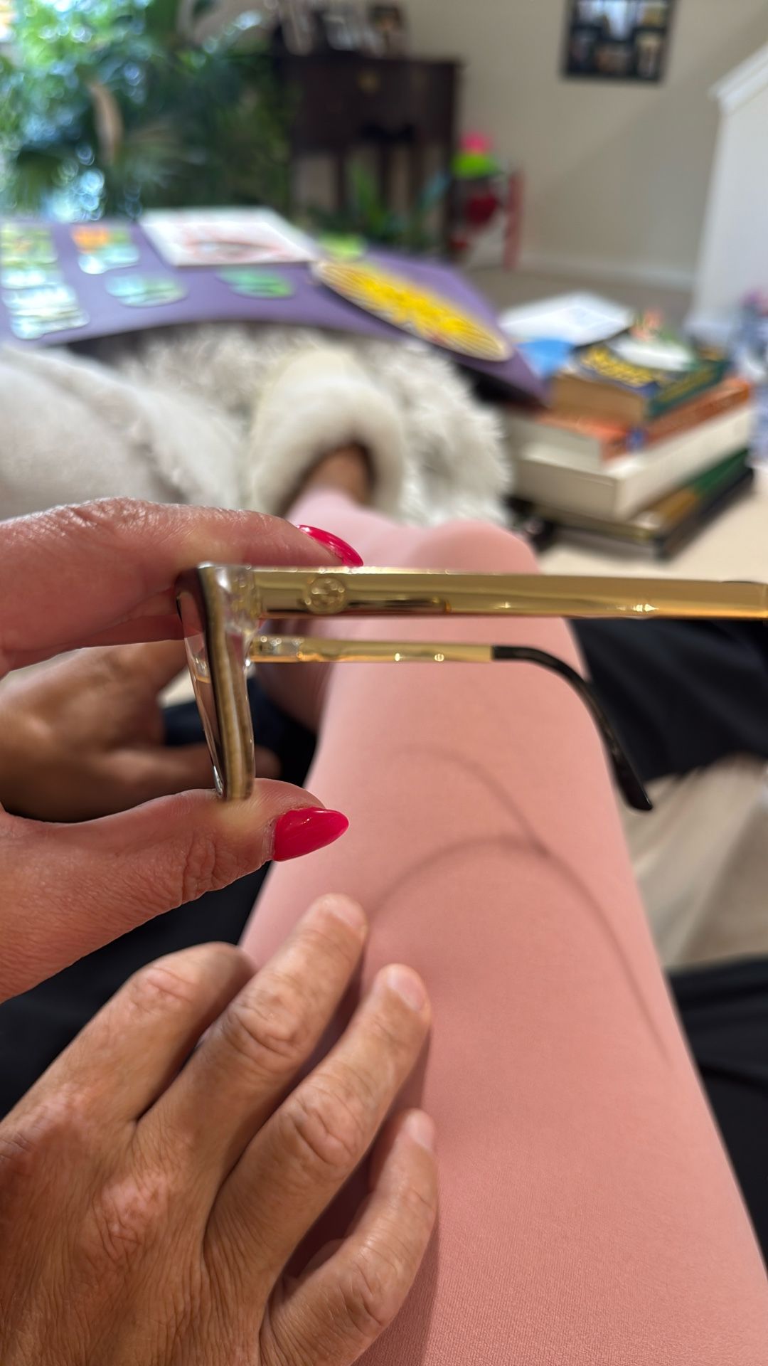 Gucci Frames GG 3678