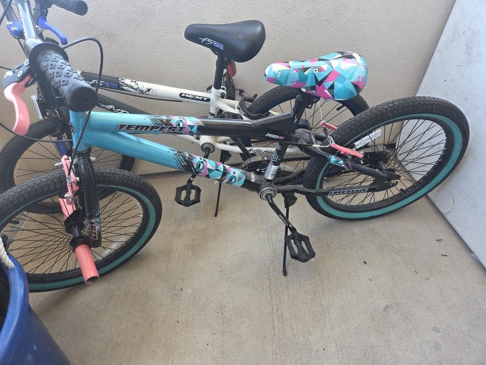 Kids Bike 20' Wheels Pink And Teal