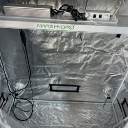 4x2 Grow Tent Setup 