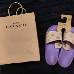 Size 6 Coach Slides 