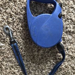 Retractable Leash
