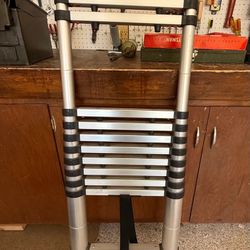 12 Rung Telescoping ladder