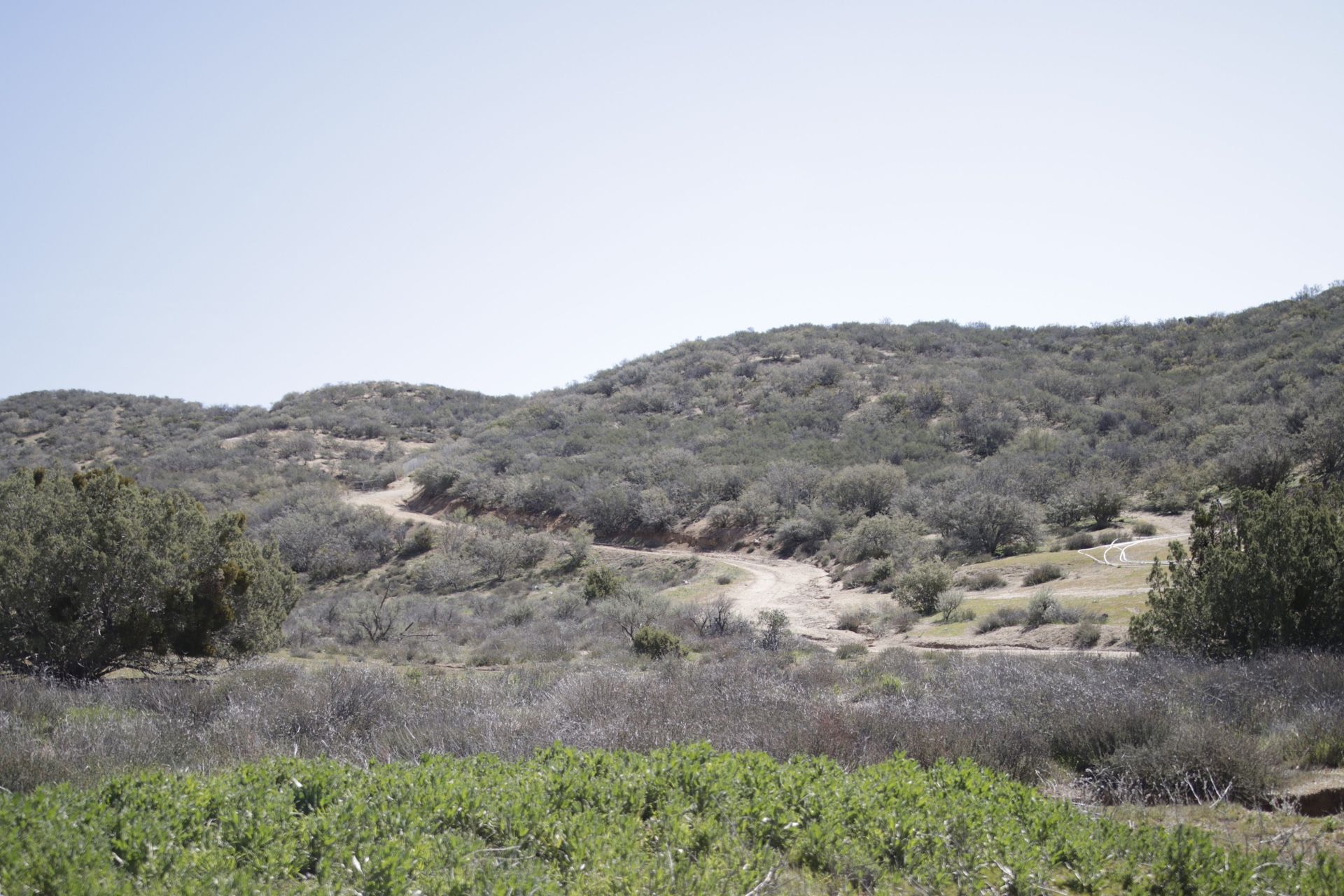 Acton ,ca horse land for sale !!!!