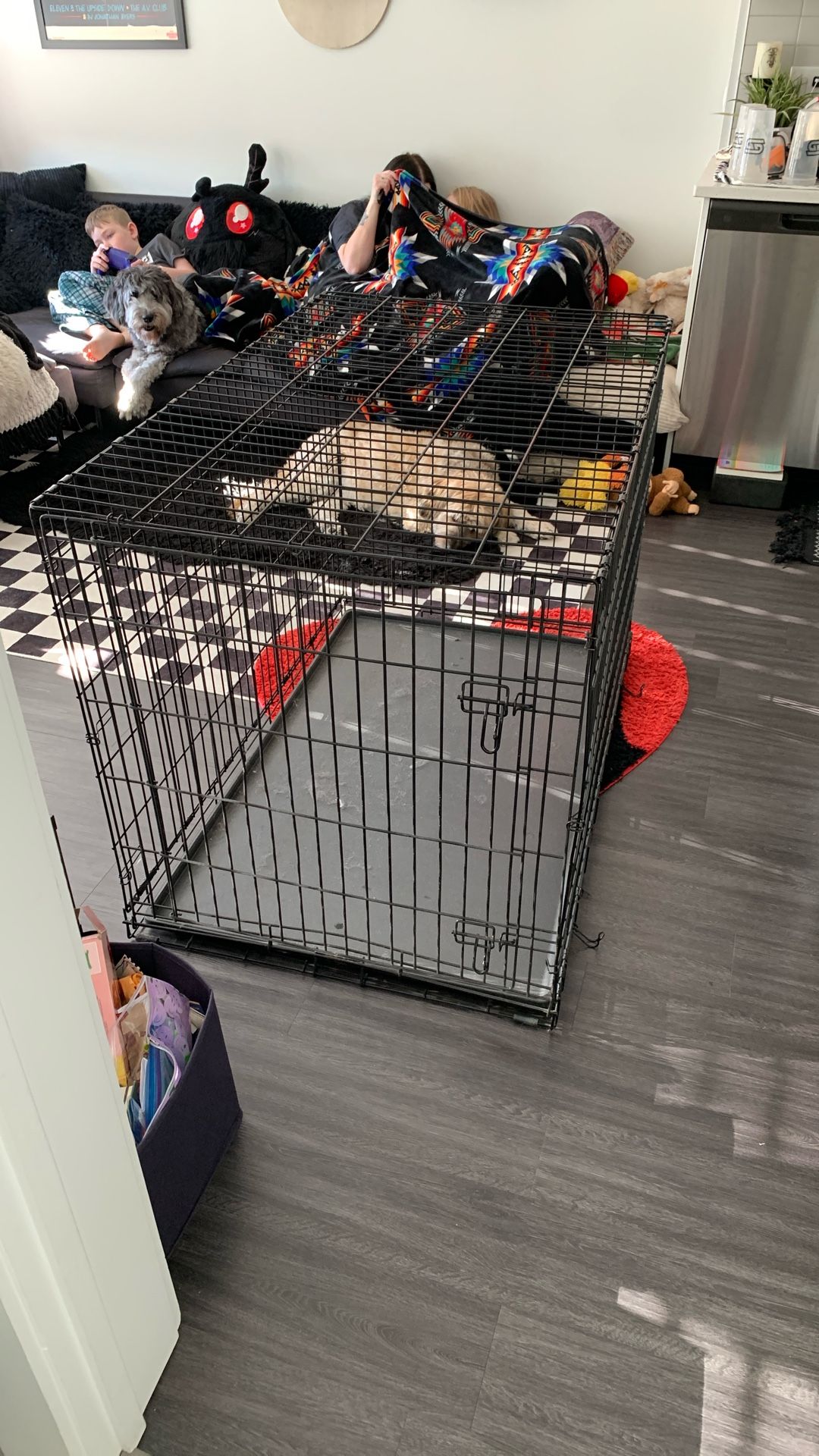 Used Dog Crate 