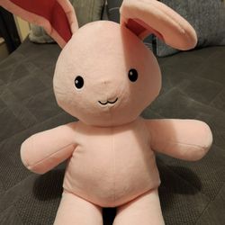 Stuffed Animal Bunny