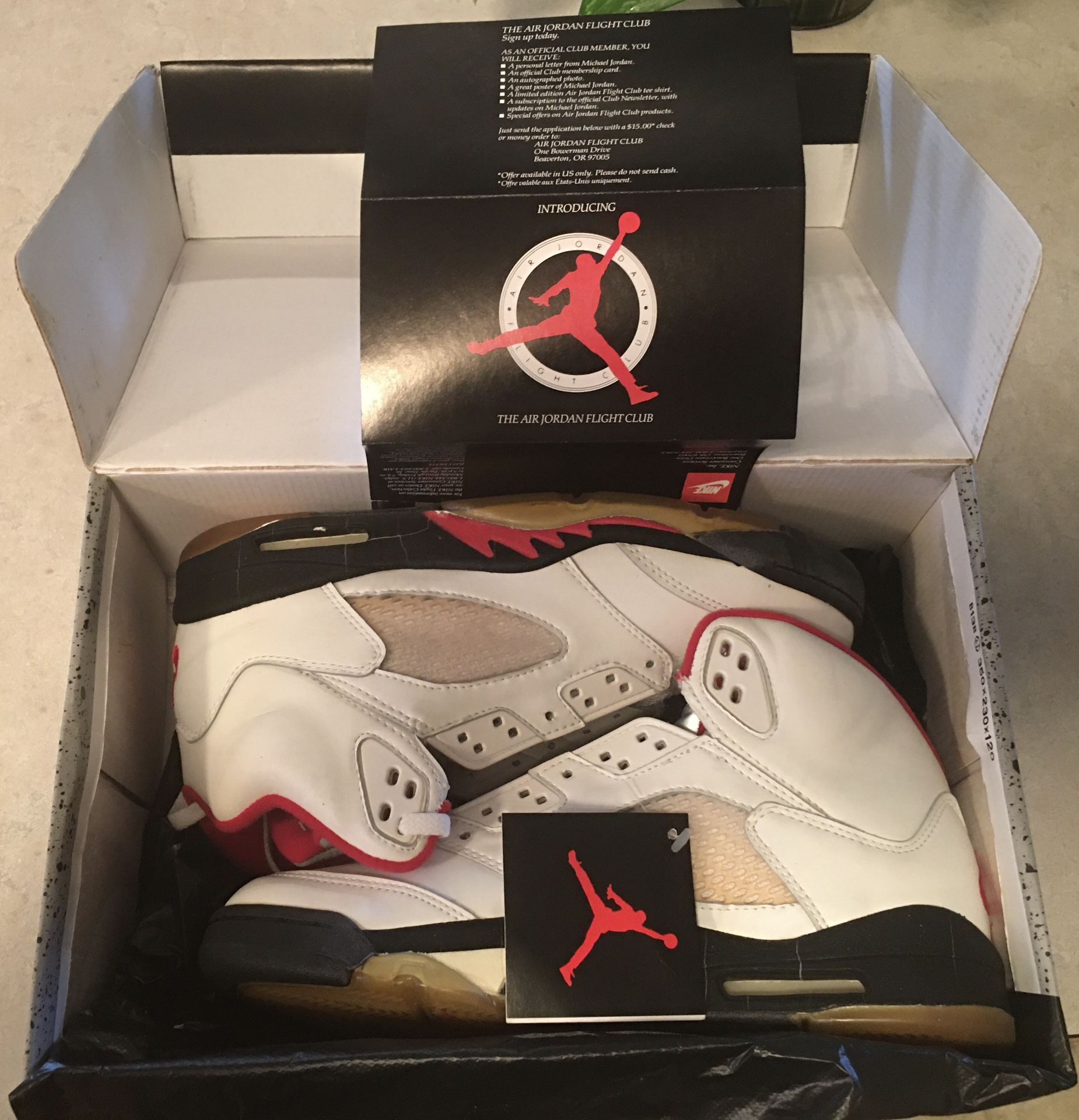 Jordan v 