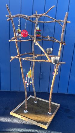 Parrot Perch Tree - Custom Made … An Instant Socializer For Your African Grey / Amazon !