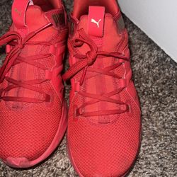 Puma Shoes