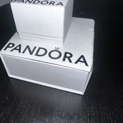 Pandora Bracelet & Charm