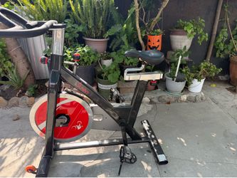 Sunny Cycle Bike