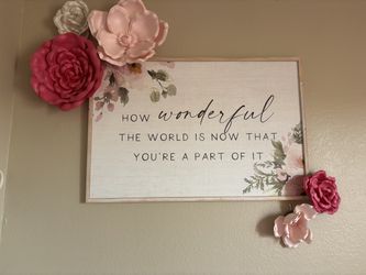 Babygirl nursery decor take all