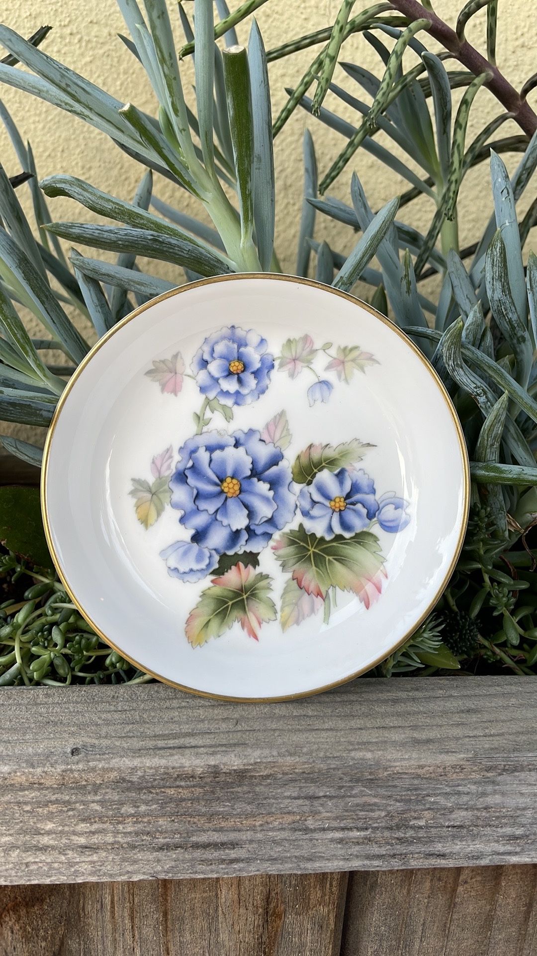 Vintage Royal Worcester Bone China Plate