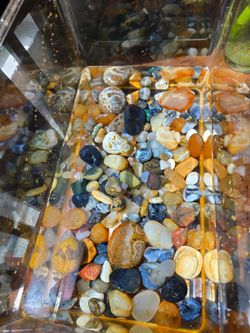 Fish tank/Oregon Rocks