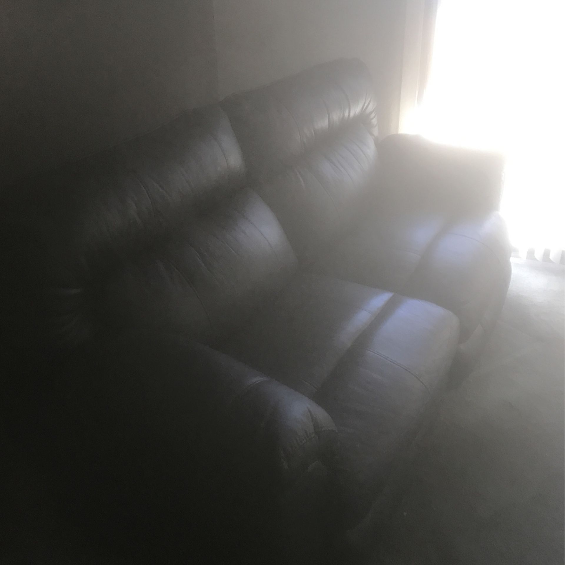 Electric Brown Leather Couch 