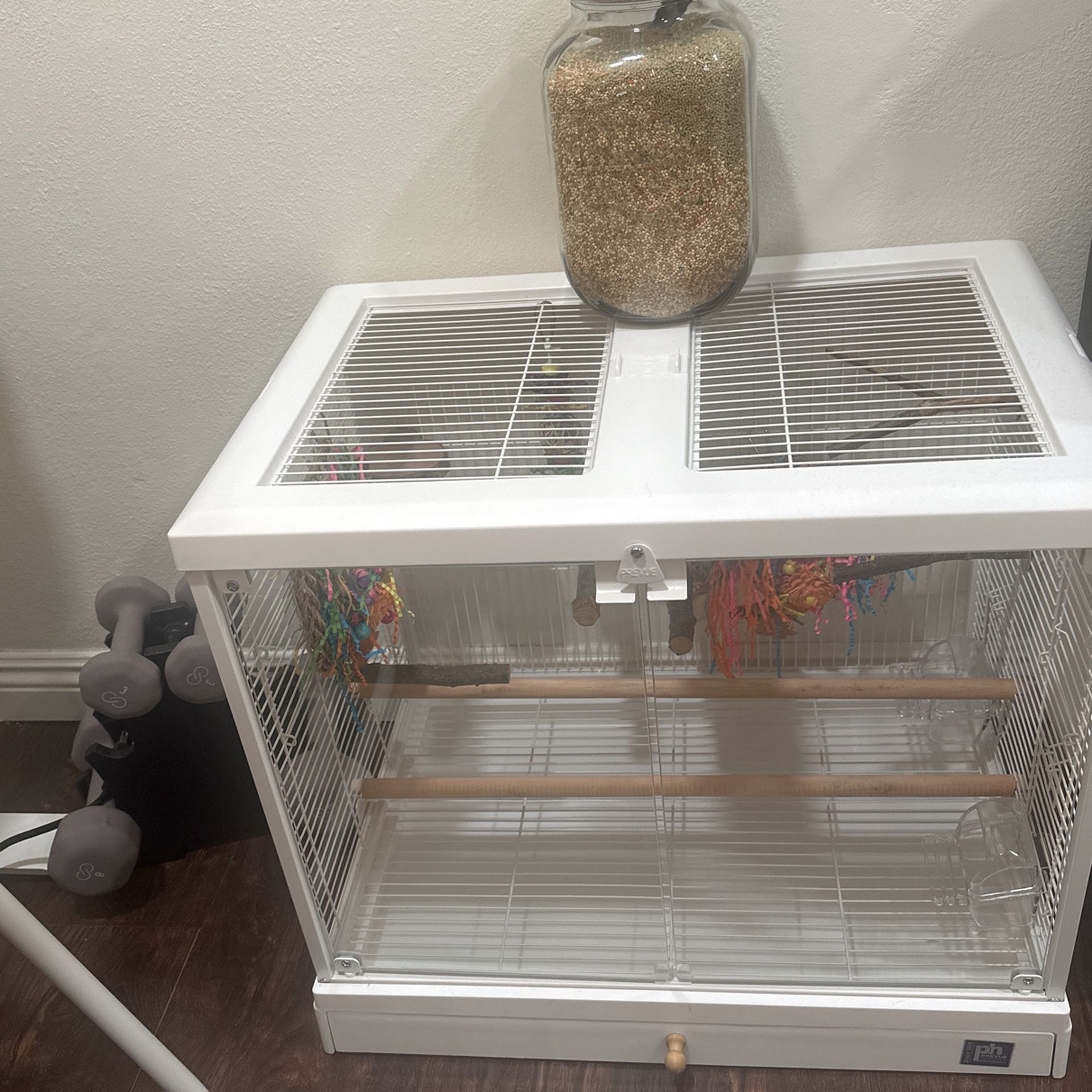 Bird Cage