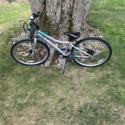 24” Mountain Bike 
