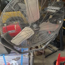 Fan 
