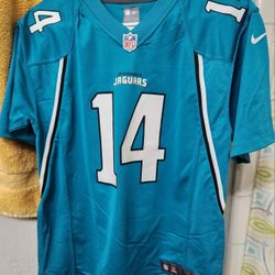 Jaguars Jersey