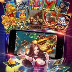 Fire Kirin Distributor And Player ACCTS 